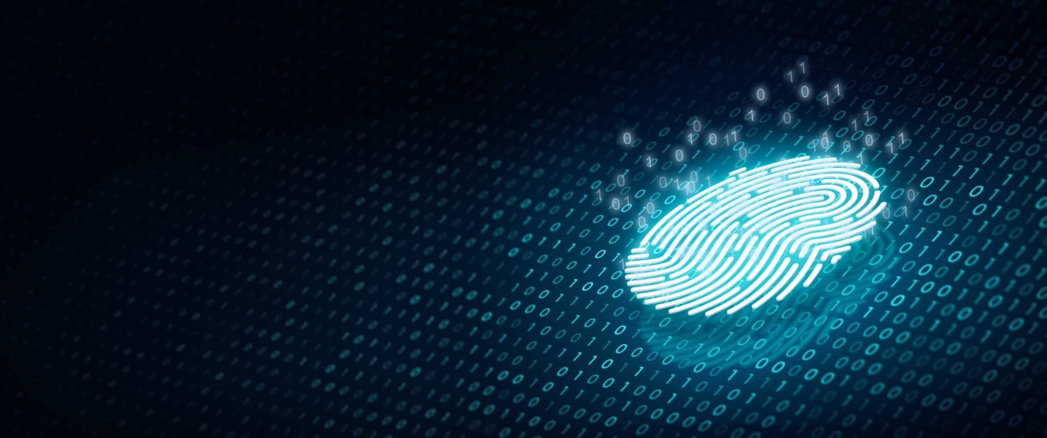 Biometric scanners deployed to reduce electoral fraud in Bosnia and Herzegovina